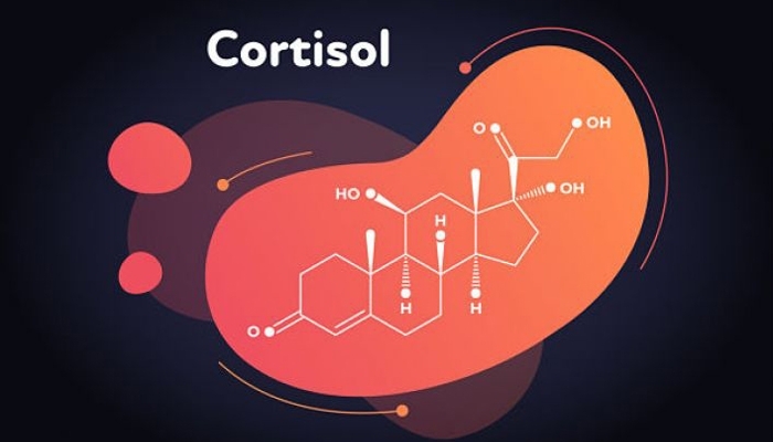 Cortisol trẻ bị sốt về đêm